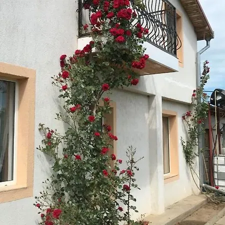 La Scoici Lägenhet Vadu